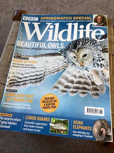 Bbc wildlife magazine june - wildlife,