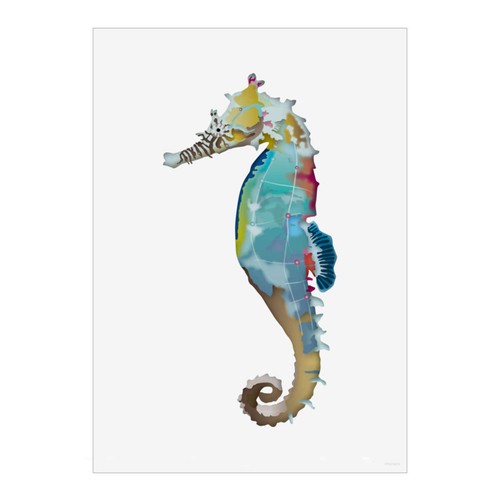 Colourful seahorse wall art - wall,