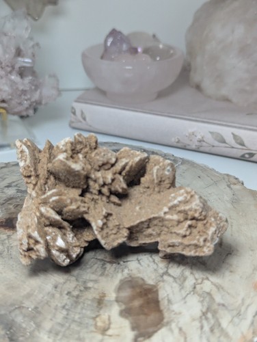 Large desert rose - rose, specimen