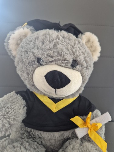 Plush toy graduation teddy - plush,