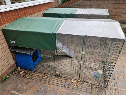 Omlet zippi rabbit run - omlet,
