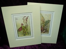 Pair of Mounted Cicely Mary