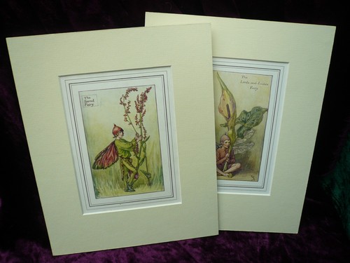 Pair mounted cicely mary - pair,