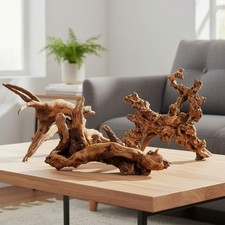3 Unique Pieces of Natural