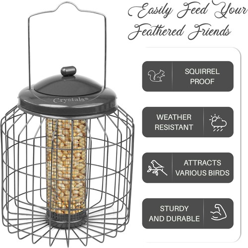 Peanut feeder squirrel proof - peanut,