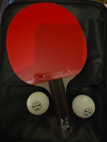 Professional ping pong - ping, paddle