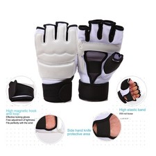 Taekwondo Sparring Adult Kid
