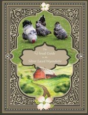 The Visual Guide to the Silver