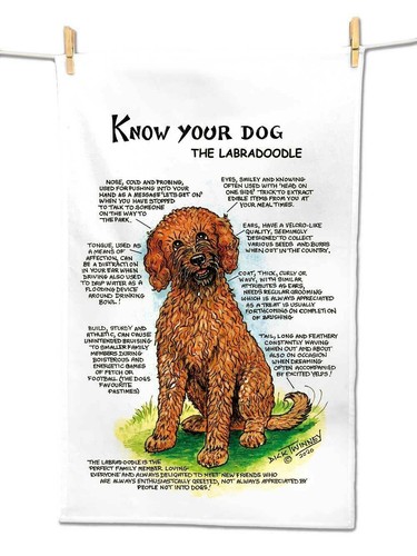Labradoodle tea towel - tea,