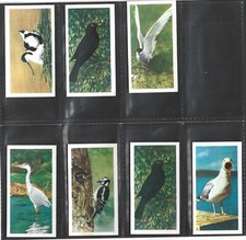 1954 brooke bond british - brooke, birds