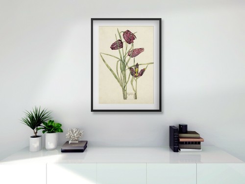Rennie mackintosh fritillary - rennie,