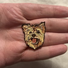 Yorkshire Terrier Head Dog Pet