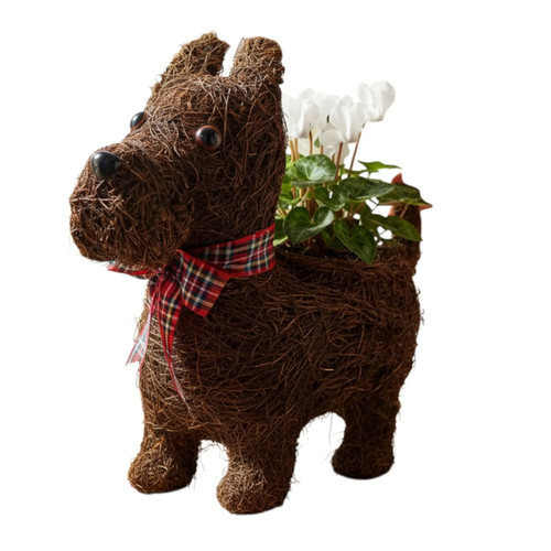 Scottie dog planter with - scottie,