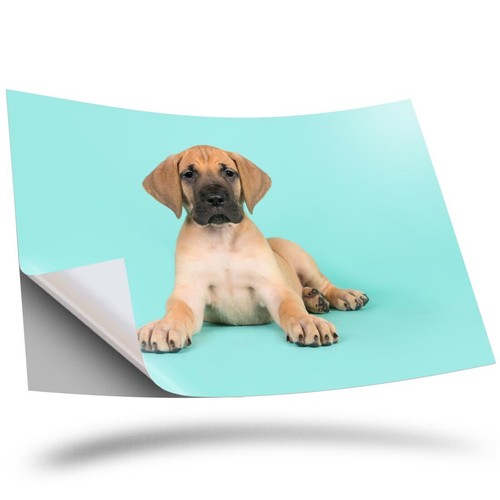 Vinyl sticker great - 1, a2