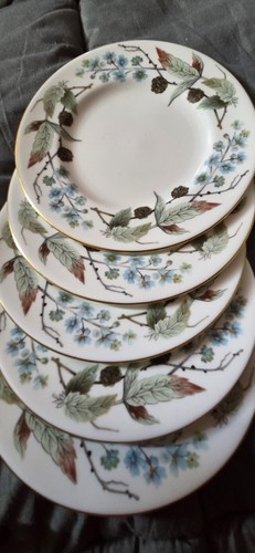 Set wedgwood spring - set,