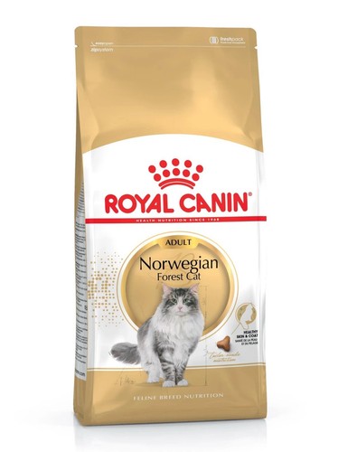 Royal canin feline adult - canin,