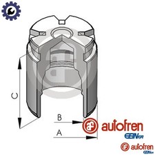 PISTON BRAKE CALIPER D025120