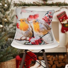 Christmas Robins LED Light up