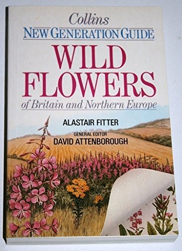 Wild flowers britain and - of,