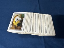 Black & White Scotch Whisky