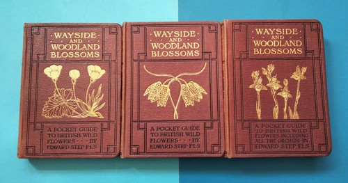 Series and wayside - 1,, 2