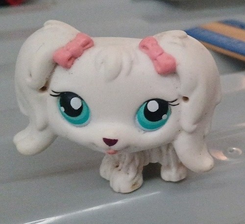 White dog pink bows lps - dog,