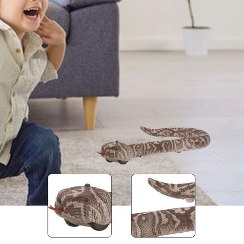 Remote control snake - remote,