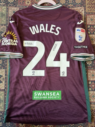 Swansea city 2025 match - city,