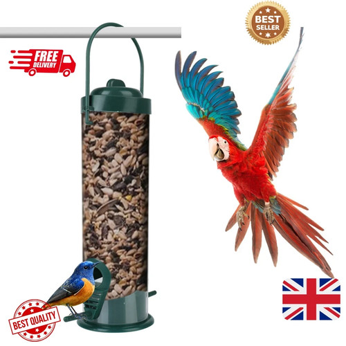 Wild garden bird - wild, feeder