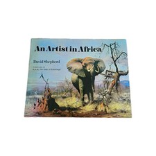An Artist In Africa David