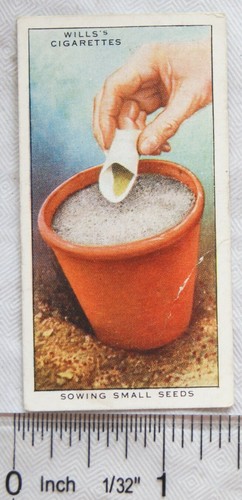 1938 wills garden hints - garden,