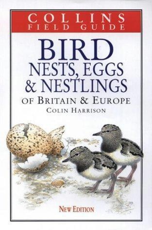Bird nests eggs and - bird,
