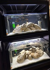 Aquarium Rack Set Up