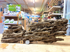 MED/LARGE Dragon Wood Aquarium