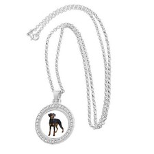 Doberman Dog Pet Silver Colour