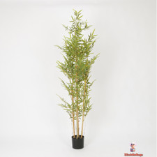 Serene 1.8M Artificial Bamboo