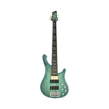 5 string Unveil the Rhythmic Symphony Electric Bass Guitar- a hollow body design