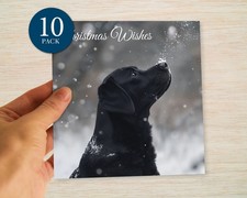 Black Labrador Christmas Cards