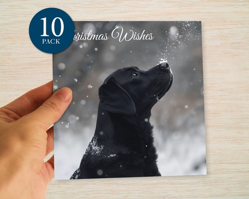 Black labrador christmas cards - labrador,