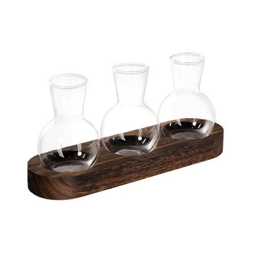 Transparent plant terrarium - transparent,