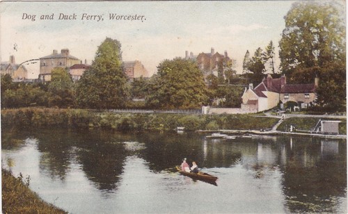 Dog duck ferry worcester - dog,