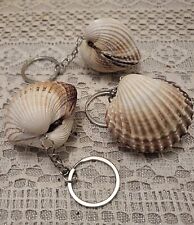 Giant Cockle Shell Keyring Handmade In North Wales