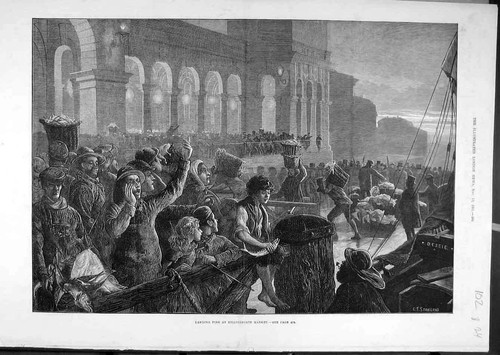 Original old antique print - old,