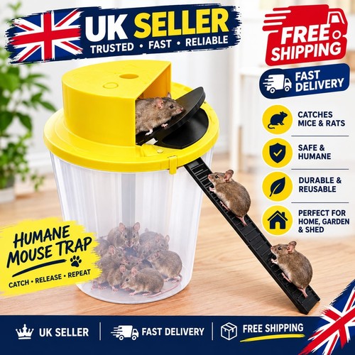 Automatic reset mouse trap - automatic,