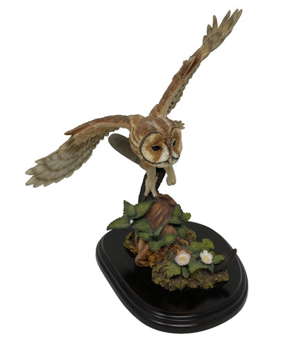 Country artists tawny - owl, in