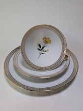 Winterling marktleuthen bavaria Tea Cup Trio Floral