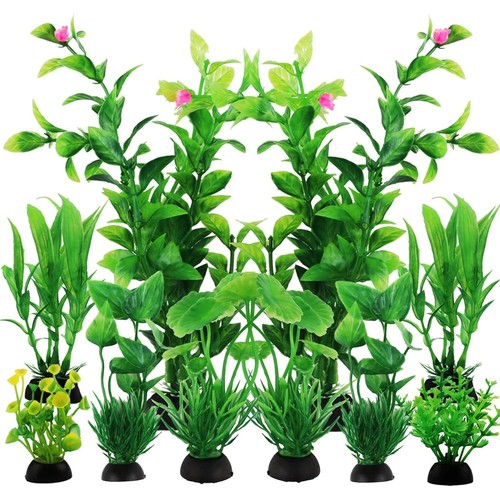 Pack aquarium fish - pack, tank