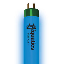 iQuatics Aquarium Fish Tank