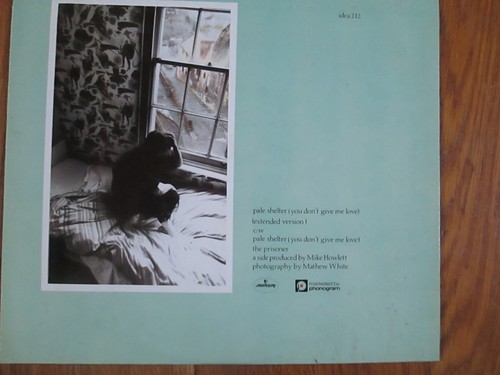Tears for fears pale - -, shelter