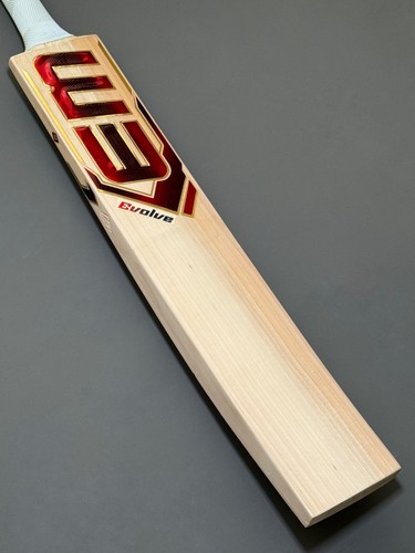Evolve cricket bat - cricket,